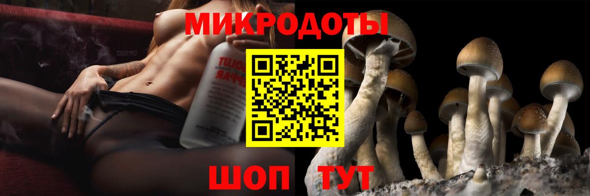 Чита  Галлюциногенные грибы MAGIC MUSHROOMS  Галлюциногенные грибы Psilocybe  Вход с VPN 